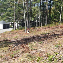 land on Quaker ridge road casco