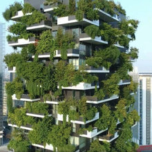 Urban Forestation