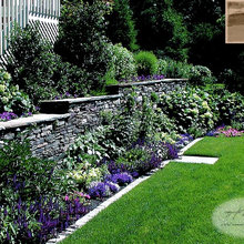 jardin