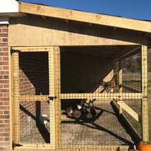 chicken coop