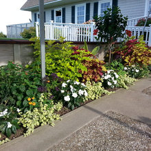 Hosta Garden