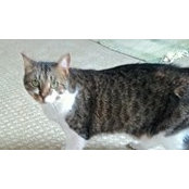 John Neill's photo