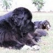 Clayton Girard's photo