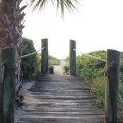 Candace Northam's photo