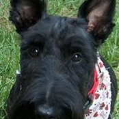 Liz Timmer's photo