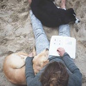 Elayne Vlahaki's photo