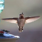 Diana Stubbs's photo