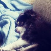 Chancie Wamhoff's photo