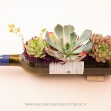 Wedding Centerpieces