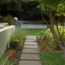 back yard