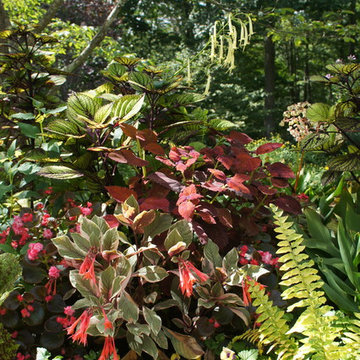 Great Plant Combos