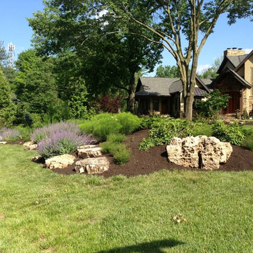 Lush Landscapes