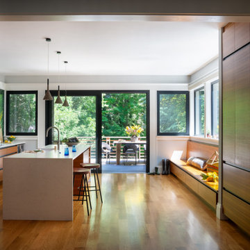 Observatory Hill Modern Victorian