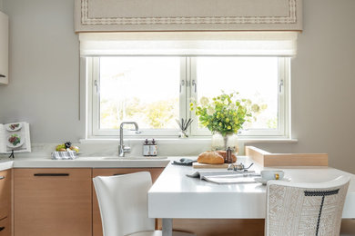Contemporary kitchen in Other.
