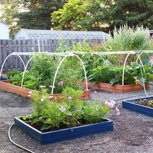 Otisco Garden