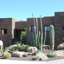 Front Landscaping
