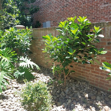 Finished Landscape in Shavano Park, San Antonio, Texas