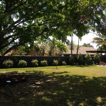 Structure amid Tropical Color