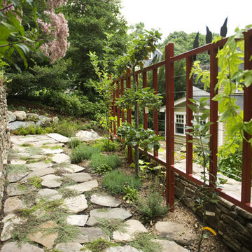 Custom trellis for espalier trees and vines