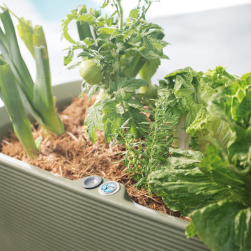 Delicious Designs: Planters for Your Culinary Creations