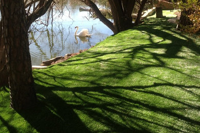 This is an example of a traditional landscaping in Dallas.