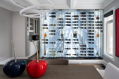 Mid-sized minimalist dark wood floor wine cellar photo in Toronto