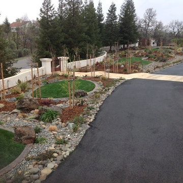 Forest Design Work