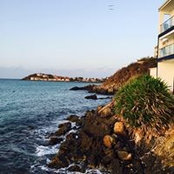 Lisa Passey McQueen's photo