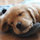 rachel_mcnamer