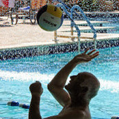 Alan Silvers billede