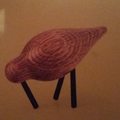 Amelie Rieger's photo