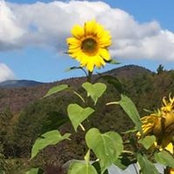 Merida Lopez-Rosenstein's photo