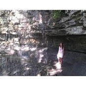 Alex House's photo