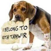 Rita Tanwir's photo