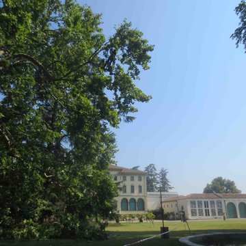 Giardini Storici: Fondazione Magnani Rocca