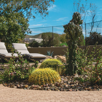 Sustainable Desert Serenity in Scottsdale