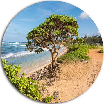 Green Tree On Beach In Kauai Hawaii, Seascape Disc Metal Wall Art, 11"