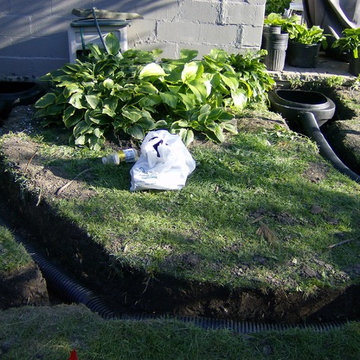 2 more downspout filters