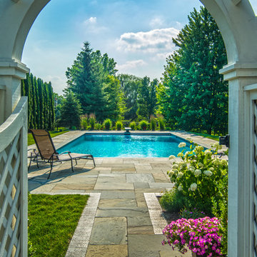 Burr Ridge, IL Swimming Pool With Sunshelf, Diving Board