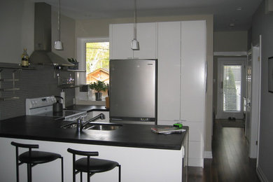 Trendy kitchen photo in Toronto