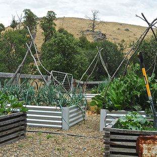 Stilmix Gemüsegarten hinter dem Haus in Adelaide