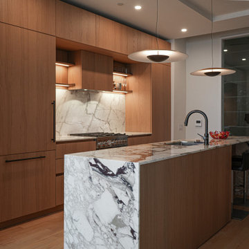 Chestnut Veneer Kitchen in Williamsburg, Brooklyn