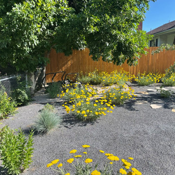 Xeriscape