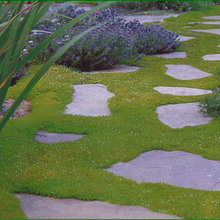 bluestone