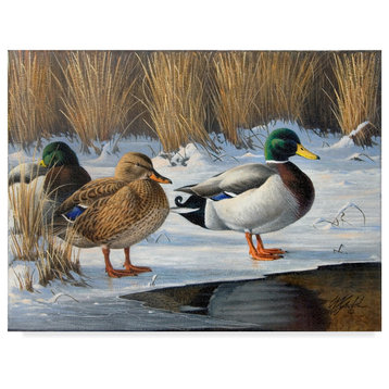 Wilhelm Goebel 'Winter Ducks' Canvas Art, 24"x18"