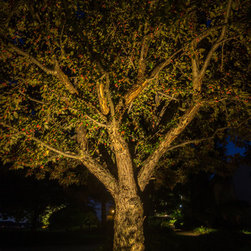 Old To New - Landscape Lighting