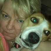 Cindy Strelbicki's photo