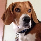 Joanne Rusiniak-Lynch's photo