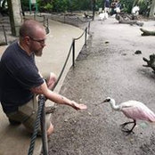 Nick Brittin's photo