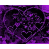 Sandy Grieves's photo